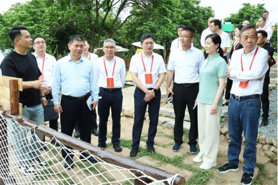 区人大常委会开展推进乡村振兴、重点项目工作审议意见落实情况专题调研